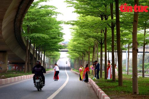 Hà Nội: Tràn xuống lòng đường 'check-in' với bàng lá nhỏ, gây mất an toàn giao thông