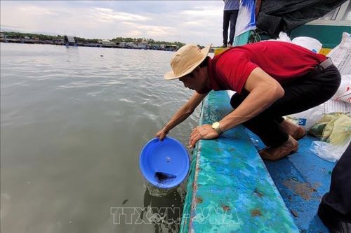 Áp dụng tiến bộ khoa học phát triển thủy sản bền vững