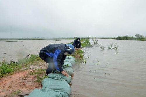 Quảng Trị: Mưa lớn khiến gần 3.000 ha lúa bị ngập