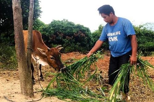 Đồng bào DTTS ở Kon Tum tự nguyện viết đơn xin thoát nghèo