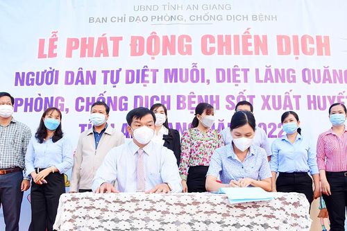 Châu Phú thực hiện các biện pháp phòng bệnh sốt xuất huyết