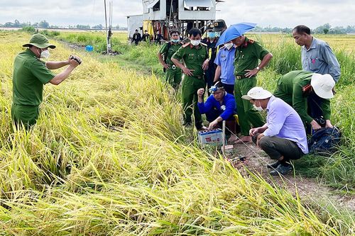 An Giang: Dùng điện bẫy chuột bảo vệ lúa gây chết người