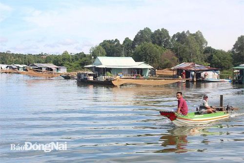 Chưa có giải pháp phù hợp