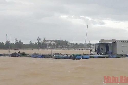 Nhiều lồng bè nuôi cá ở Quảng Nam bị nước cuốn trôi