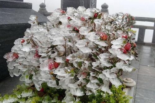 Băng giá phủ trắng đỉnh Fansipan ngay giữa mùa Xuân