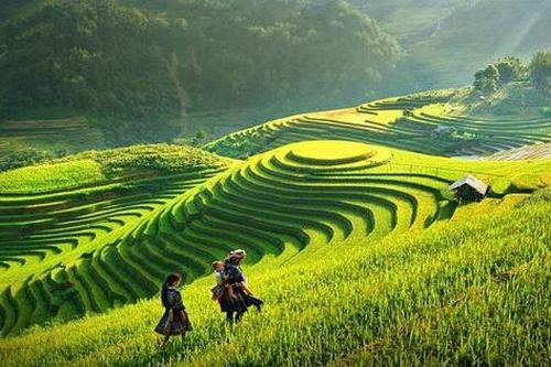 Du lịch xanh nâng tầm thương hiệu quốc gia
