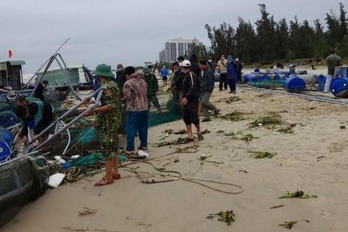 Quảng Nam: Sóng cuốn trôi nhiều bè nuôi cá ra biển, gây thiệt hại hàng tỷ đồng