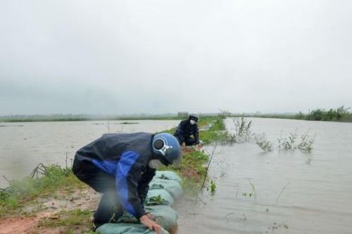 Mưa lũ bất thường, hàng chục nghìn ha lúa ở miền Trung chìm trong nước