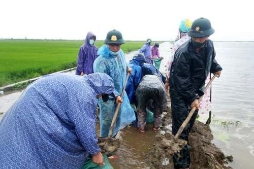 TT-Huế: Lũ trái mùa bủa vây, bộ đội ra sức cứu lúa giúp dân
