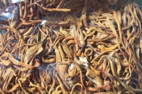 Cẩn trọng khi mua sản phẩm hỗ trợ sức khỏe giá rẻ