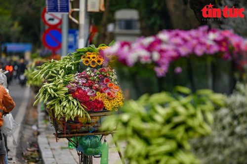 Tháng tư về, hoa loa kèn từ vườn ra phố