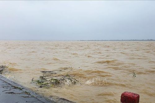 Quảng Trị: Mưa lớn khiến hơn 800 ngôi nhà và 8.400 ha lúa bị ngập