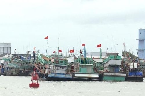 Cà Mau: Nghiêm cấm tàu cá chở khách du lịch tham quan trên biển
