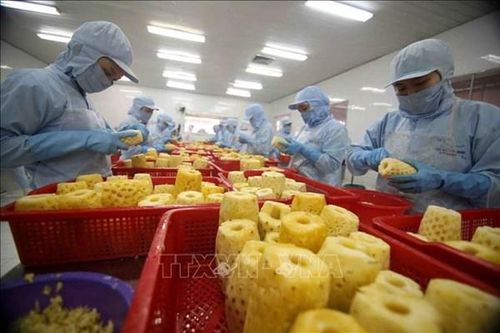 Indonesia yêu cầu bổ sung thông tin về thực phẩm tươi sống có nguồn gốc thực vật