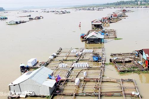'Mạnh tay' quy hoạch lại các vùng nuôi thủy sản