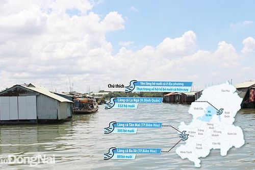 Ô nhiễm nguồn nước ở các vùng nuôi thủy sản