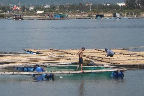 Nghề 'đục đẽo' ngoài biển khơi