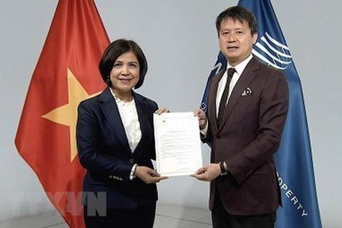 Việt Nam thực hiện cam kết với hệ thống sở hữu trí tuệ toàn cầu