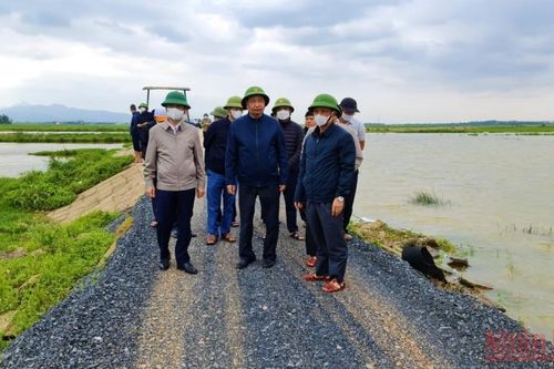 Kiểm tra công tác khắc phục hậu quả mưa lũ tại Quảng Bình