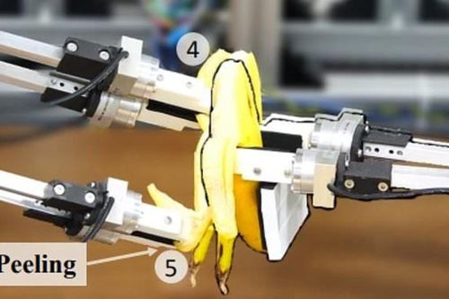 Mắt tròn mắt dẹt với robot bóc vỏ chuối siêu đẳng