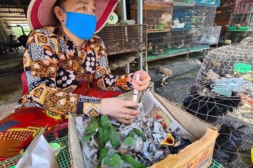 Dẹp chợ 'chim trời' lớn nhất miền Tây
