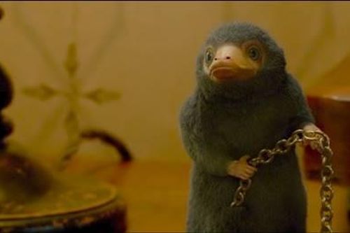 Loạt sinh vật huyền bí đổ bộ trong phần 3 của 'Fantastic Beasts'