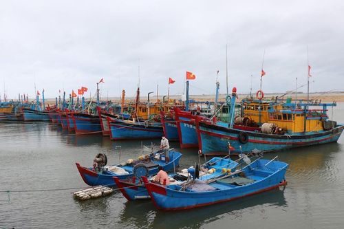 Phú Yên tiếp tục ứng phó diễn biến thời tiết xấu trên biển
