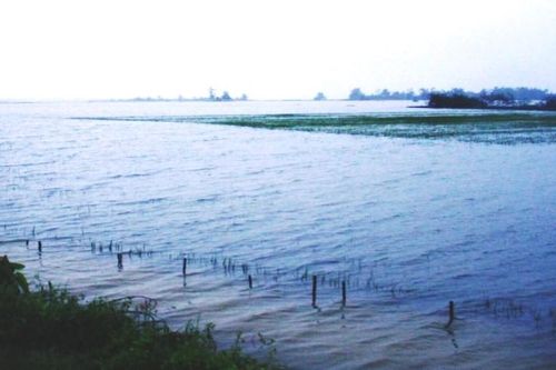 Tìm được thi thể nam thanh niên bị nước lũ cuốn trôi tại Thừa Thiên Huế