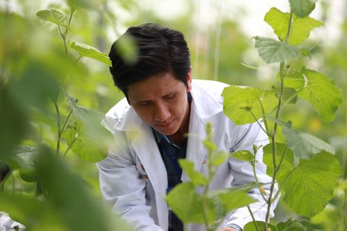 Huyện 'lên' quận, thành phố: Nông nghiệp chuyển mình bằng công nghệ cao
