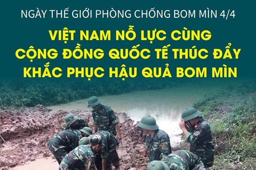 Việt Nam nỗ lực cùng cộng đồng quốc tế thúc đẩy khắc phục hậu quả bom mìn