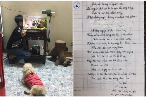 Cậu bé gây 'bão mạng' với bài thơ tạm biệt chó cưng, đoạn cuối khiến netizen cười xỉu