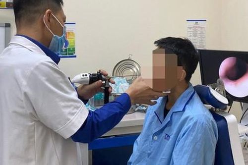 Nam thanh niên bị đỉa chui vào mũi 'trú' nhiều ngày