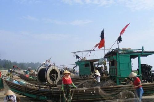 Ngư dân Thanh Hóa, Nghệ An vào mùa cá trích muộn