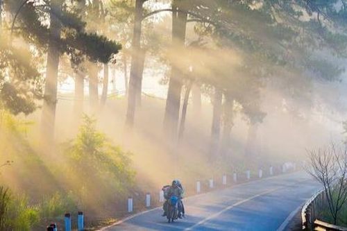 Du lịch Đà Lạt nói không với chửi bới, lăng mạ và phân biệt đối xử