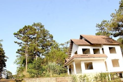 Vụ 'Băm nát Măng Đen': Tạm dừng xem xét các dự án nông nghiệp mới