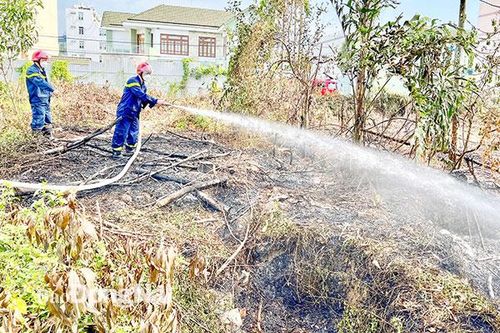 Ngưng đốt rác tự phát để hạn chế cháy cỏ