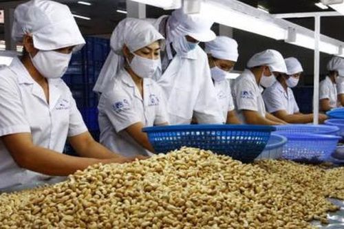Xuất khẩu điều tăng mạnh gần 60% trong tháng 3