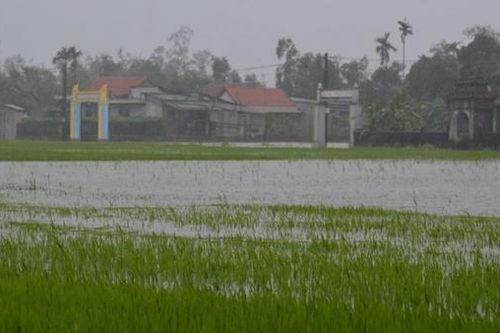 Hạ du sông Bồ bị ngập nặng