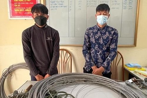 Liên tiếp bắt giữ các đối tượng chuyên 'luộc' cáp điện