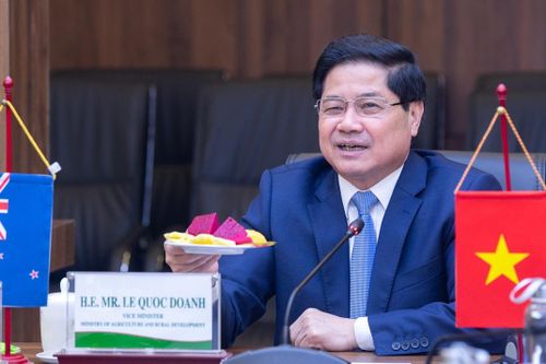 New Zealand mong chanh, bưởi Việt Nam sớm có mặt trên kệ hàng nước này
