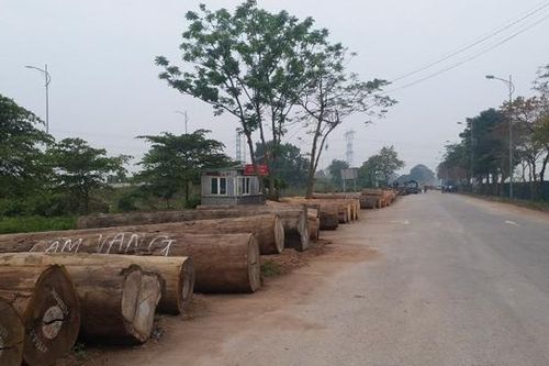 Huyện Đông Anh: Hoàn thiện giải phóng mặt bằng dự án cụm công nghiệp Thiết Bình