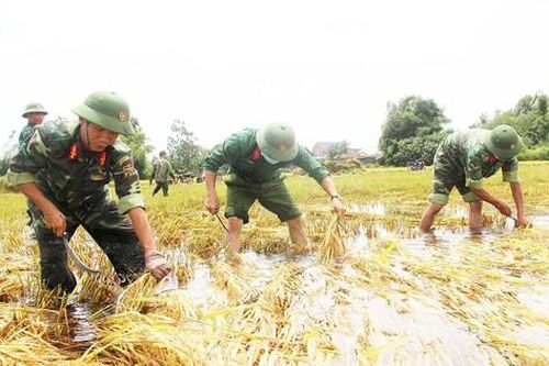 Miền Trung: Vớt vát lúa, hoa màu