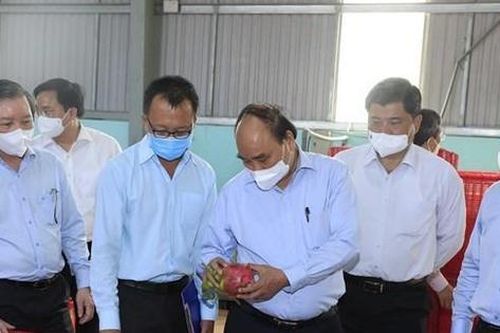 Tiền Giang cần vận động hội viên phát triển kinh tế tập thể