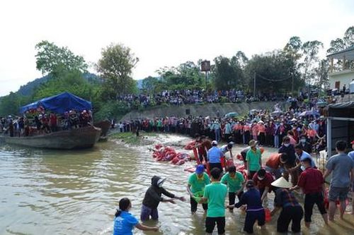 12 tấn cá được phóng sinh xuống sông Lam