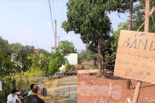 'Cò đất' náo loạn vùng quê: Đất ảo tiền thật, đơn thư khắp nơi