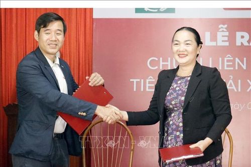 Ứng dụng công nghệ sấy lạnh, tăng giá trị cho quả vải Bắc Giang