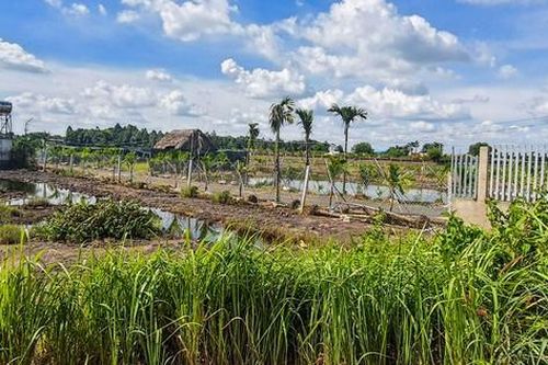 Khai thác công trình tạm trên đất nông nghiệp