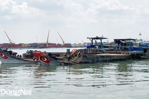 Bắt giữ 2 phương tiện vận chuyển cát không rõ nguồn gốc xuất xứ