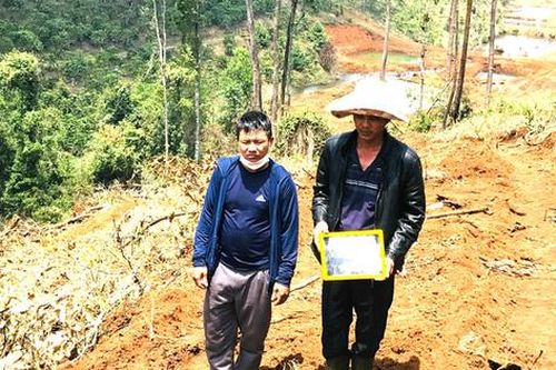 Vụ phá rừng tại Lâm Đồng: Bắt tạm giam đối tượng chủ mưu