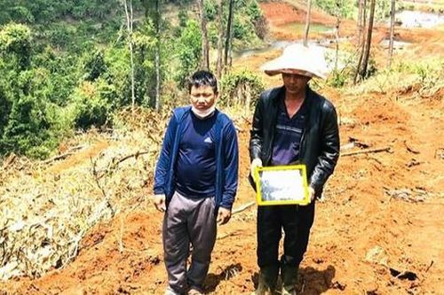 Bắt giam đối tượng liên quan vụ phá 1,9ha rừng ở Lâm Đồng